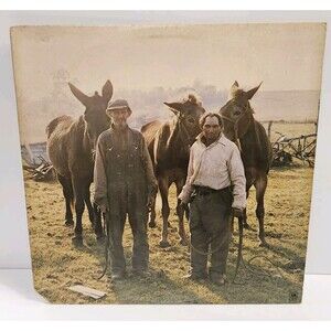 OZARK Mountain Daredevils "Men From Earth" Vinyl Record LP A&M Records G+ 1976